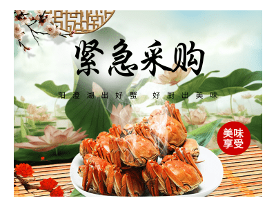 采购梭子蟹苗