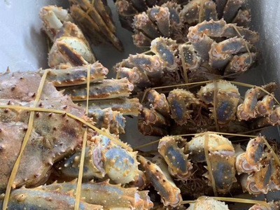 速冻帝王蟹生冻阿拉斯加长脚蟹面包蟹海鲜肉质紧实饱满4-8斤只图4
