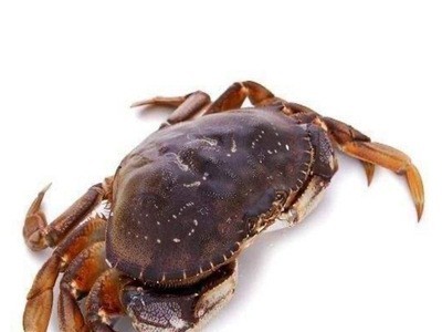 太子蟹海蟹珍宝蟹生冻冷冻珍宝蟹香辣蟹海鲜黄金蟹炒蟹1.3斤-3斤图4