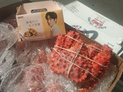 智利帝王蟹帝王岛皇帝蟹无冰梭蟹肉海鲜螃蟹刺身食材蟹棒肉500g图2