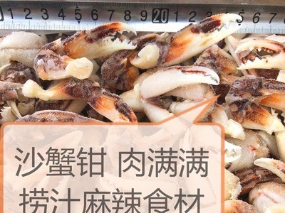 沙蟹钳捞汁麻辣海鲜青岛餐饮食材螃蟹钳梭子蟹钳大闸蟹钳子图3