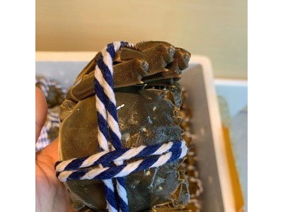 鲜活太湖大闸蟹3-3.5两自由组合蟹 母蟹+公蟹8只装 礼盒套餐图4